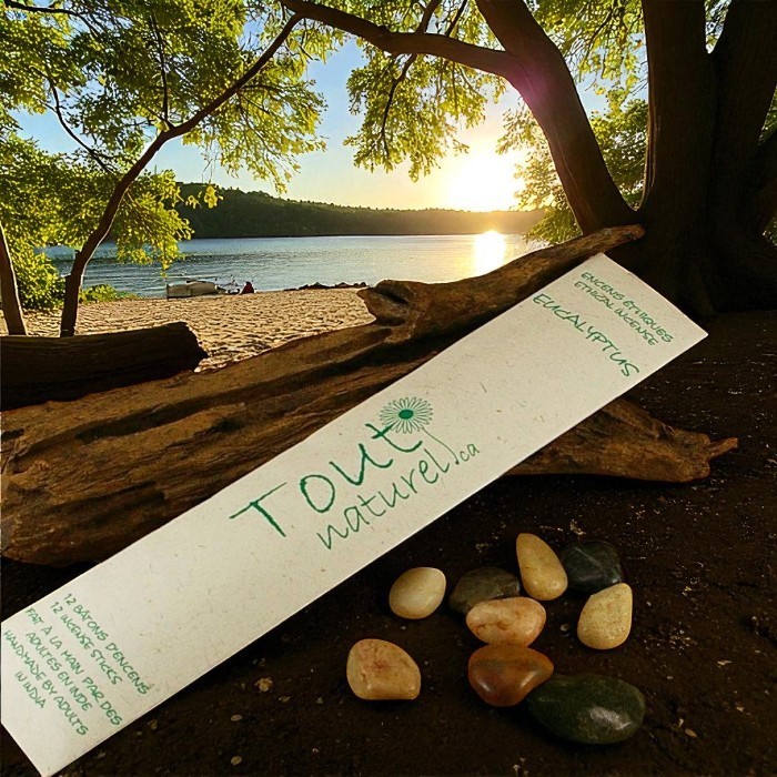Encens Tout Naturel Eucalyptus