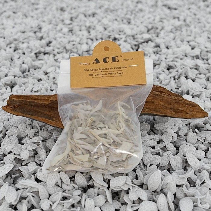 California White Sage  Leaf