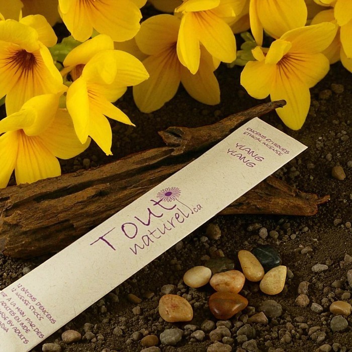 Encens Tout Naturel Ylang Ylang
