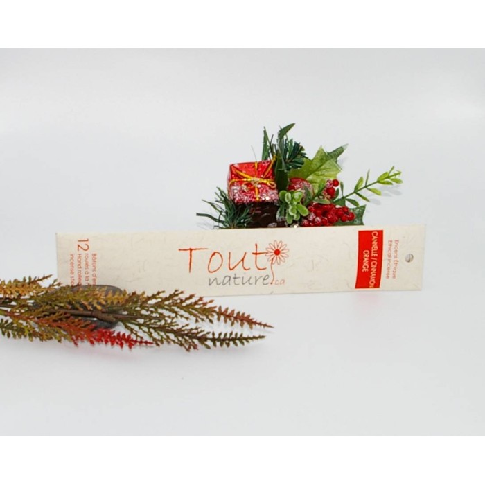 Tout Naturel Cinnamon orange incense