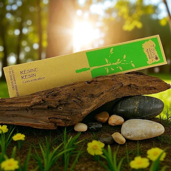 Tout Naturel Ayurveda Resin incense