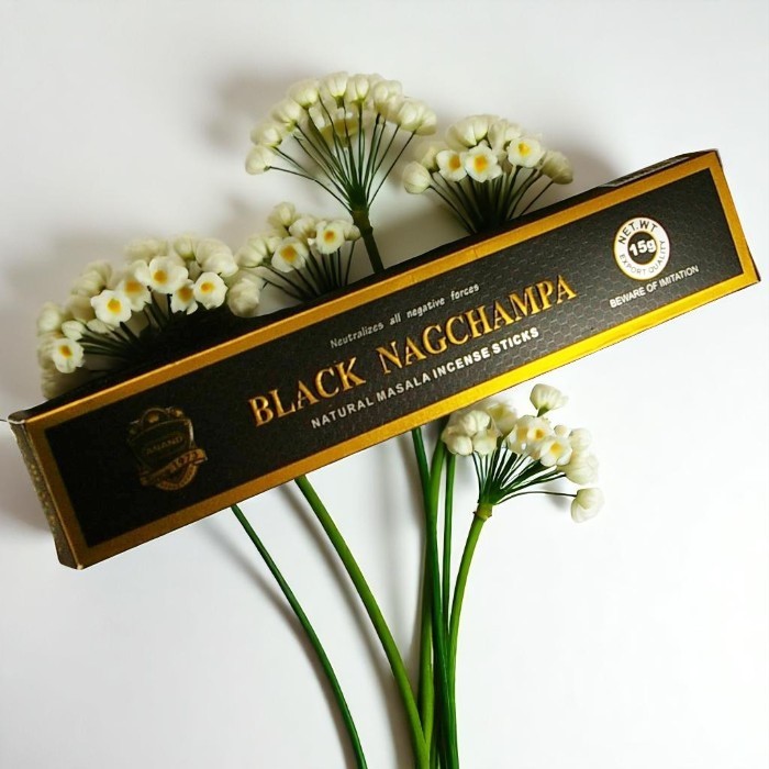 Encens Anand Black nag champa 15g